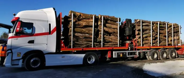 Madera de 2 m y troncos camión completo – 60 m³