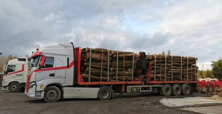 Madera de 2 m y troncos camión completo – 60 m³