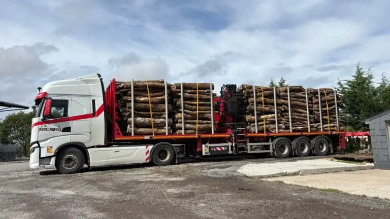 Madera de 2 m y troncos camión completo – 60 m³